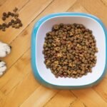 dry dog food, dog training, kibble